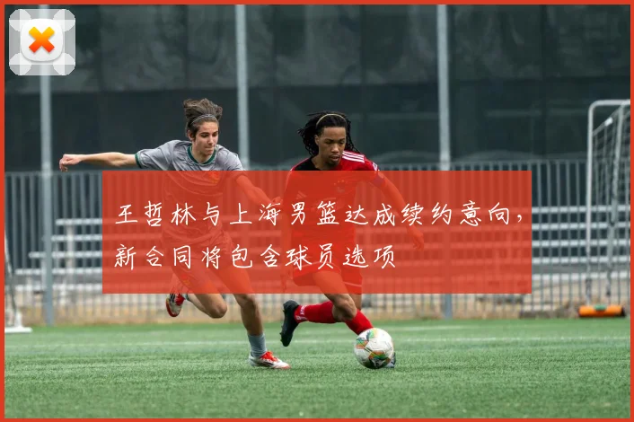 王哲林与上海男篮达成续约意向，新合同将包含球员选项